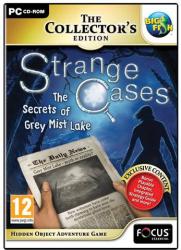 strange cases mystery of grey mist lake
