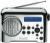 Dualit Radio