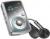 SanDisc 4 or 8GB Clip