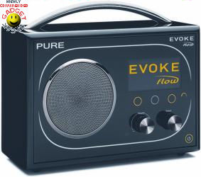 pure evoke flow dab radio