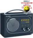 569539 pure evoke flow dab radi