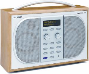 pure evoke 2S dab radio