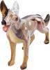 673875 Revell X Ray Dog Anatom