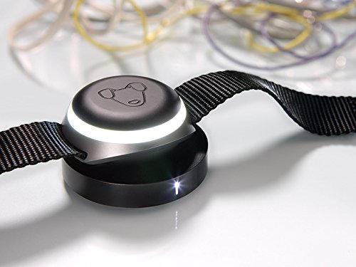 mishiko gps dog tracker