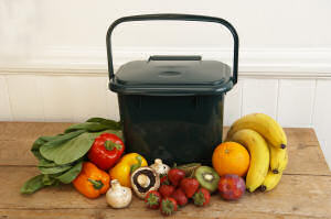 Cedo work-top compost bin at Sainsburys