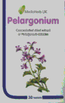 Pelargonium