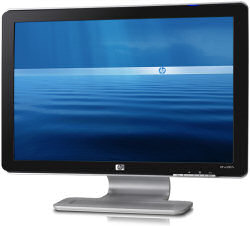 HP w2007v LCD monitor panel