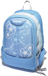 JanSport Recourse backpack blue