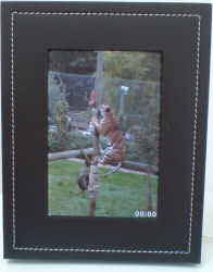 Parrot 7 inch BlueTooth picture frame