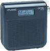 pure one mini dab radi